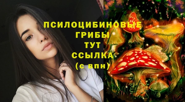 MDMA Липки