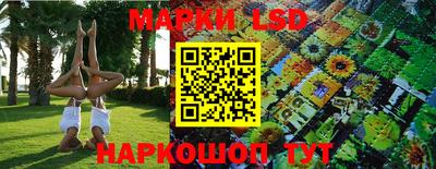 крисы Кандалакша