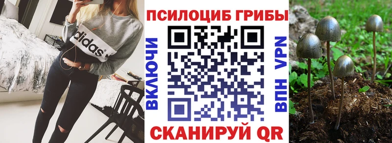 Галлюциногенные грибы Cubensis  даркнет сайт  Усть-Илимск 