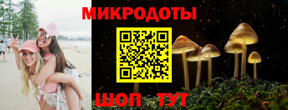 Псилоцибиновые грибы Cubensis Усть-Илимск